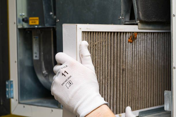 Best Air Duct Cleaning Company Near Me  in Wayne, IL