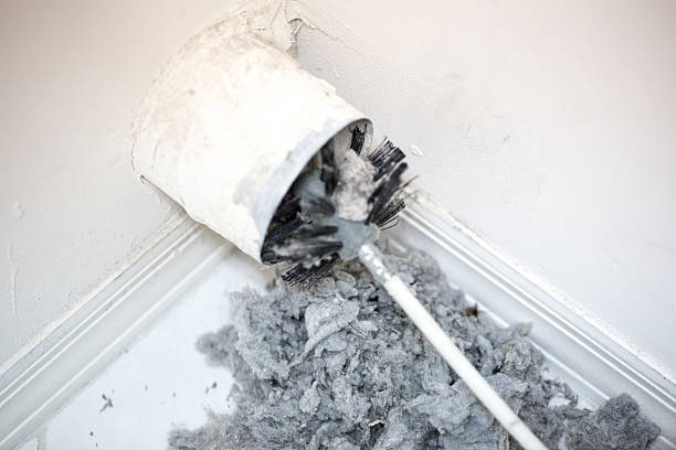 Best Emergency Air Duct Cleaning  in Wayne, IL