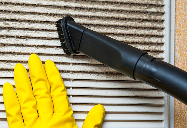 Best Best Air Duct Cleaning Near Me  in Wayne, IL