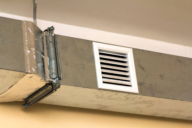 Best Dryer Vent Cleaning Services  in Wayne, IL